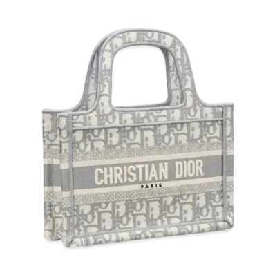 Dior Book Tote Mini Bags Oblique Embroidery "Gray"