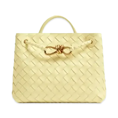 Bottega Veneta Small Andiamo Leather Bag "Icecream"