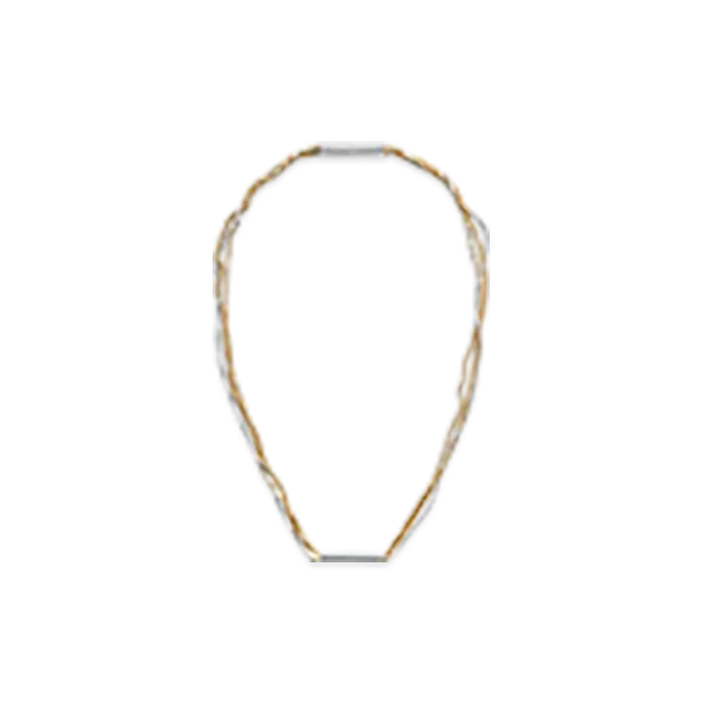 Bottega Veneta Detail Chain Necklace "Silver/Yellow Gold"