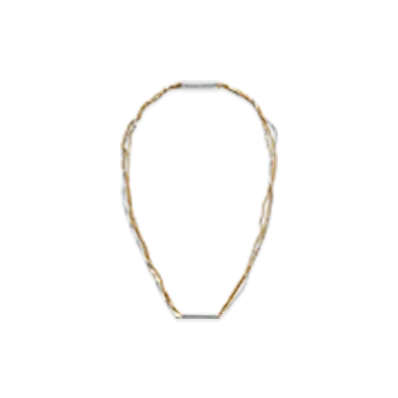 Bottega Veneta Detail Chain Necklace "Silver/Yellow Gold"