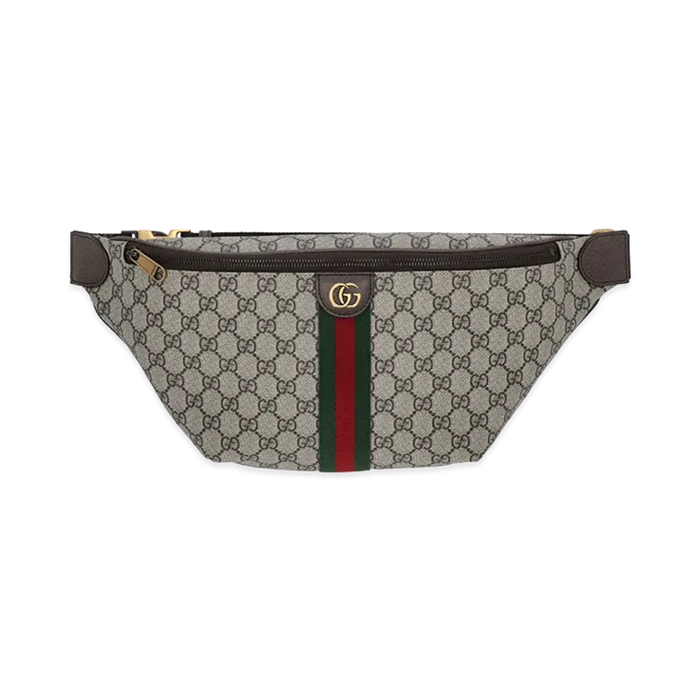 GUCCI Printed Canvas Belt Bag "Printed"