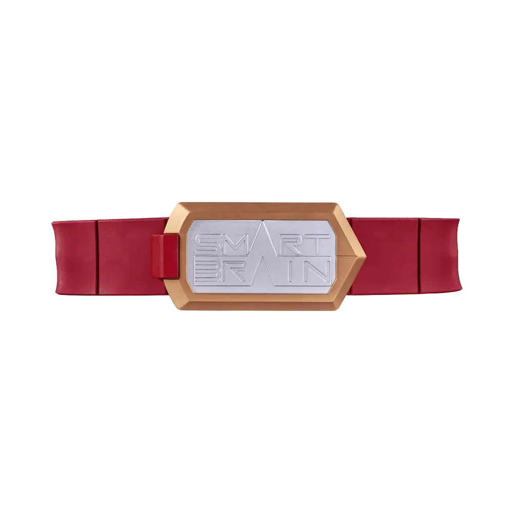 BANDAI "COMPLETE SELECTION MODIFICATION" -KAMEN RIDER 555- Smart Buckle