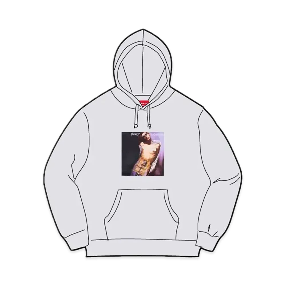 Supreme x Jane's Addiction Hooded Sweatshirt "Ash Grey"