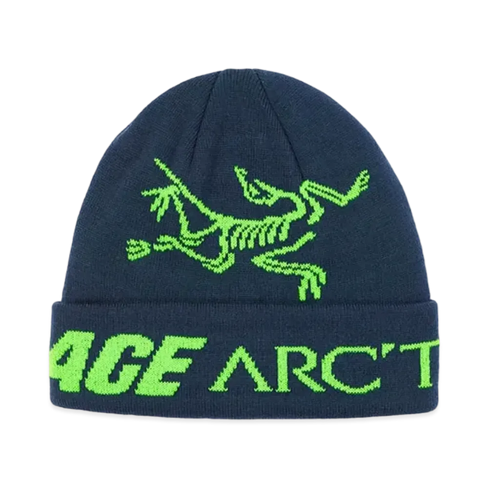 PALACE / Arc'Teryx Alpha Beanie "Teal" P19ARXBN002