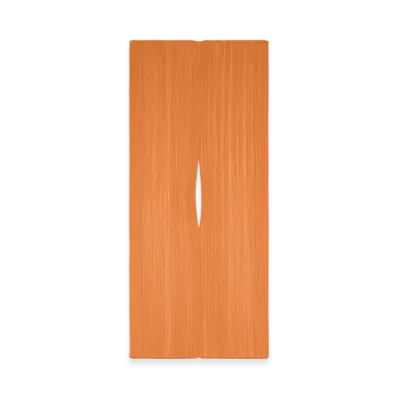 PLEATS PLEASE ISSEY MIYAKE Madame-T August "Apricot"