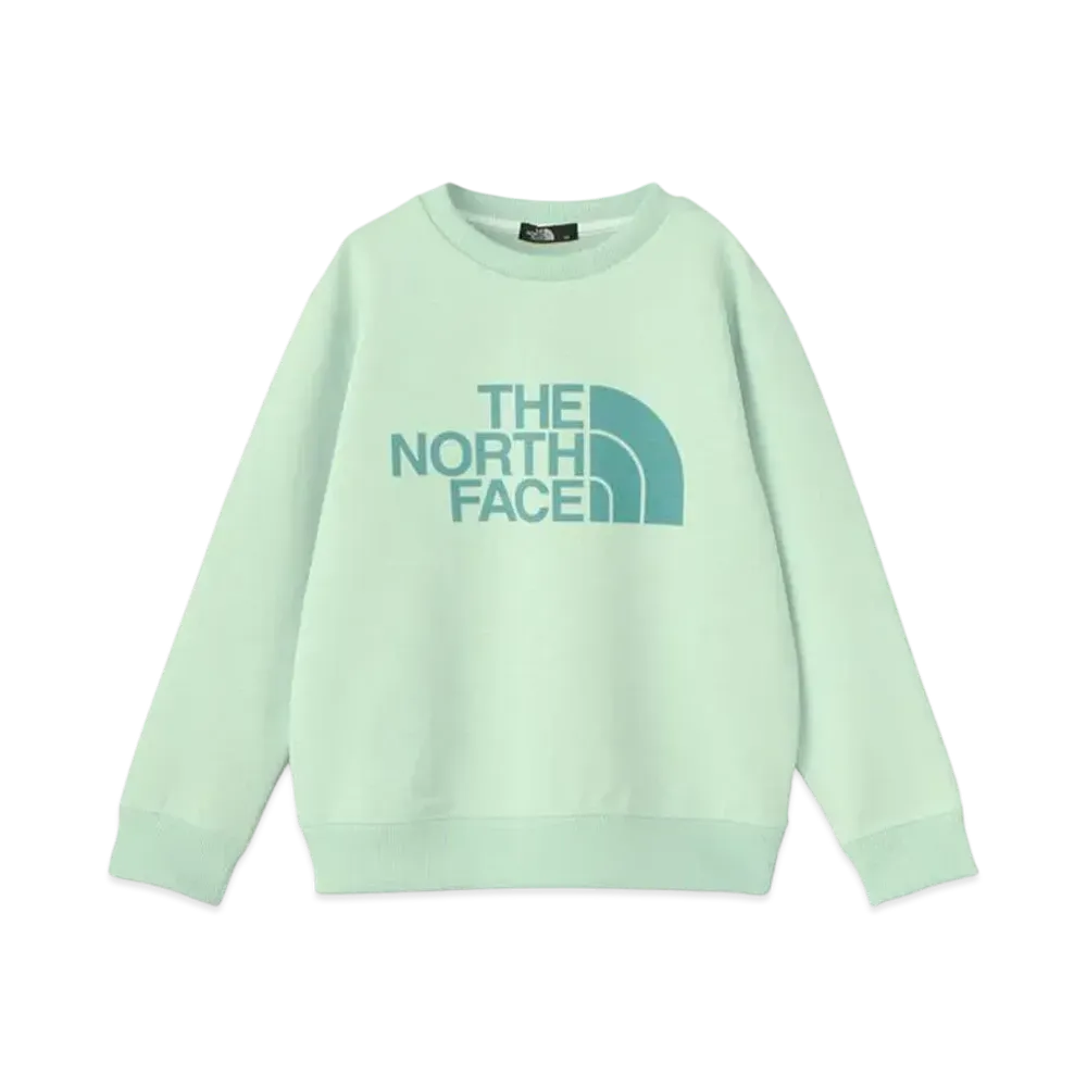 The North Face Kids Colorize Sweat Crew "Pale Green"