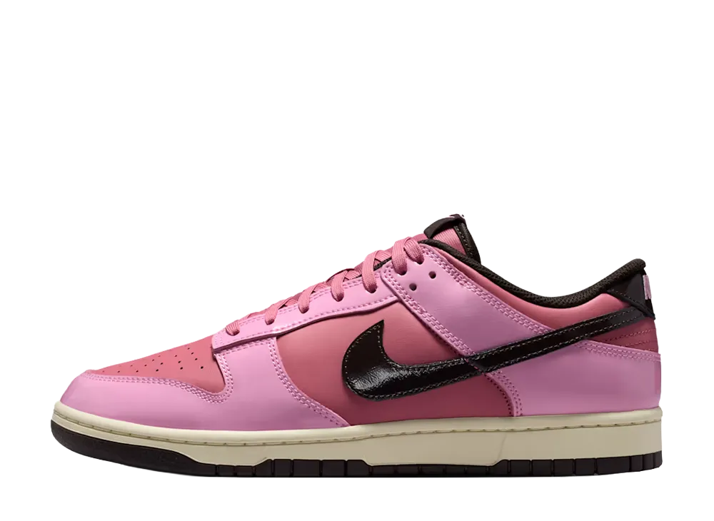 Nike Dunk Low Retro "Donut"