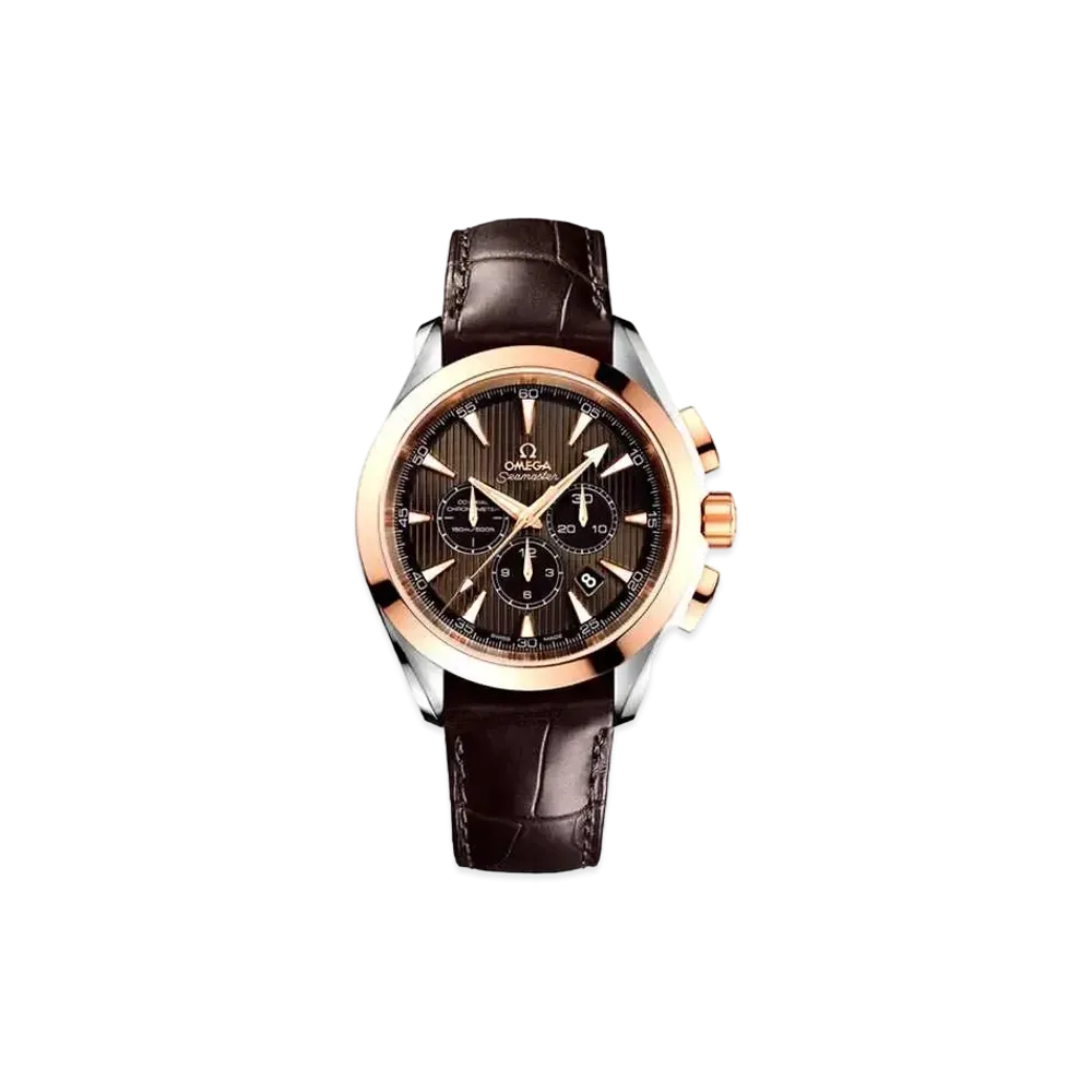 OMEGA Seamaster Aqua Terra Chronograph Co-Axial "Gray" 231.23.44.50.06.001
