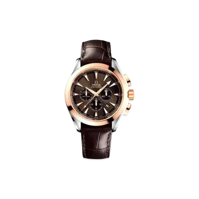 OMEGA Seamaster Aqua Terra Chronograph Co-Axial "Gray" 231.23.44.50.06.001