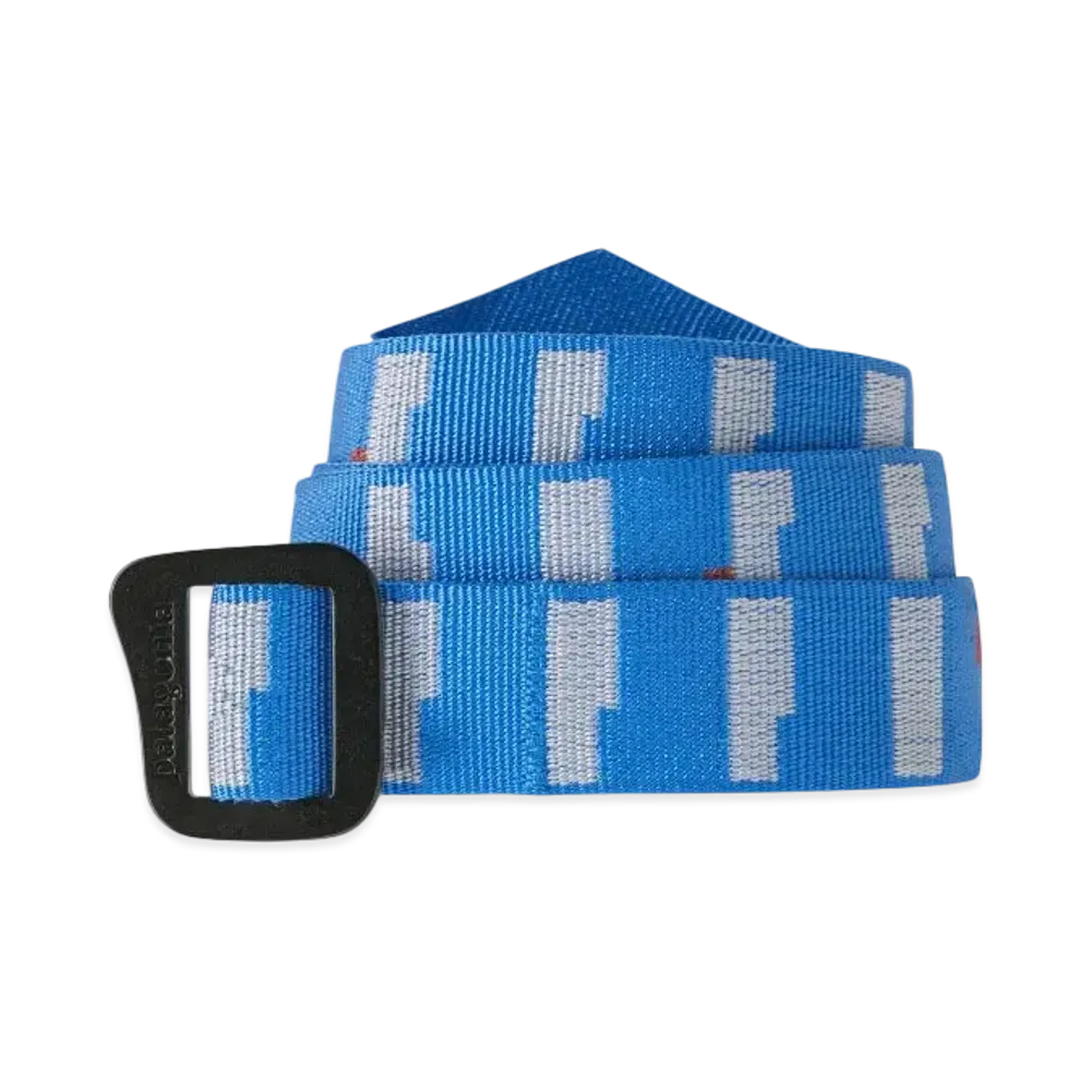 Patagonia Men's Friction Belt "Vessel Blue"