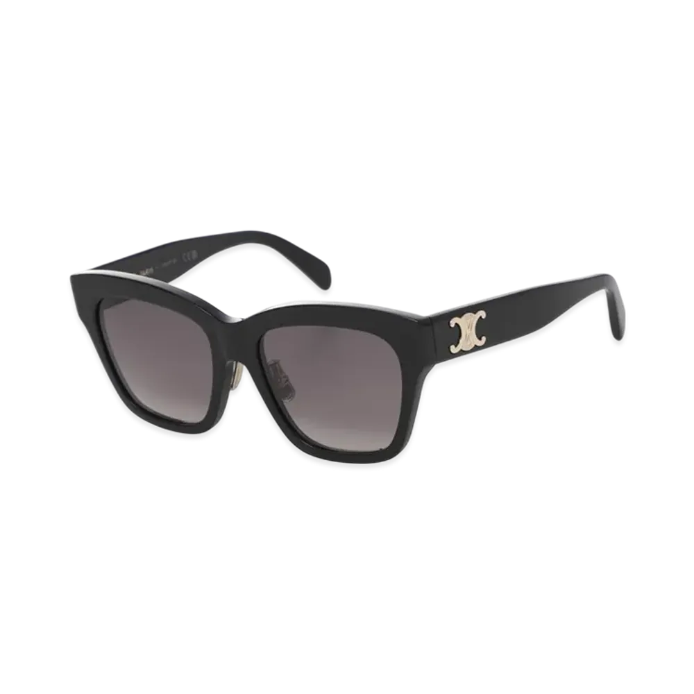 CELINE Triomphe 09 "Black"