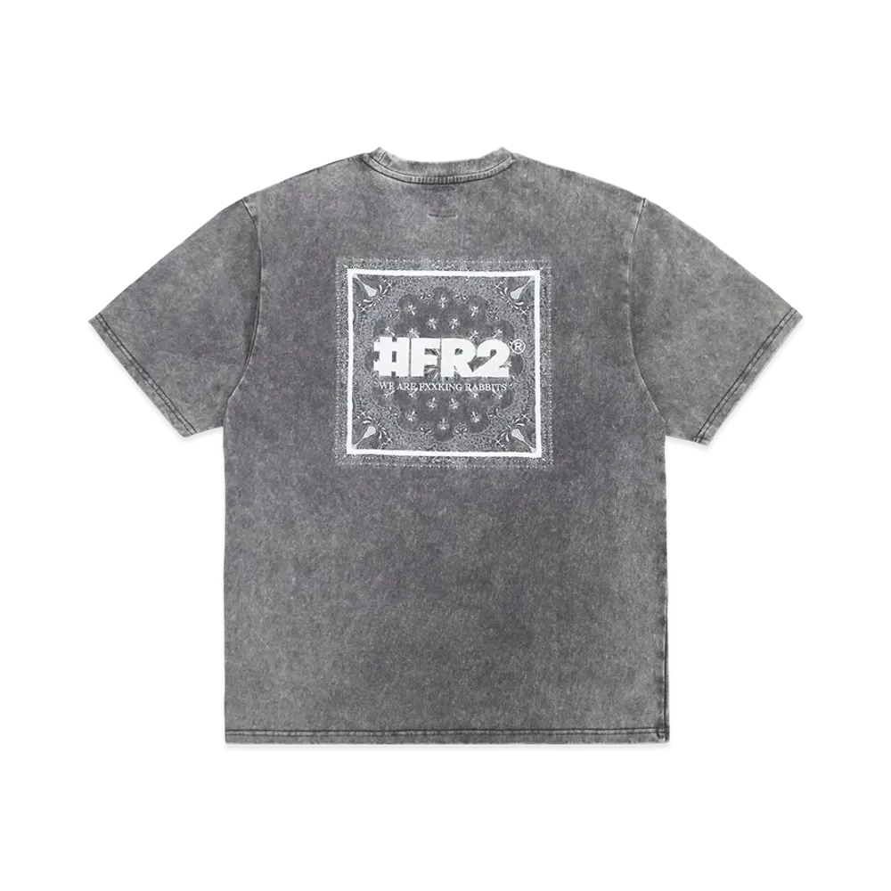 FR2 Acid Wash Embroidery Paisley T-Shirt "Gray"