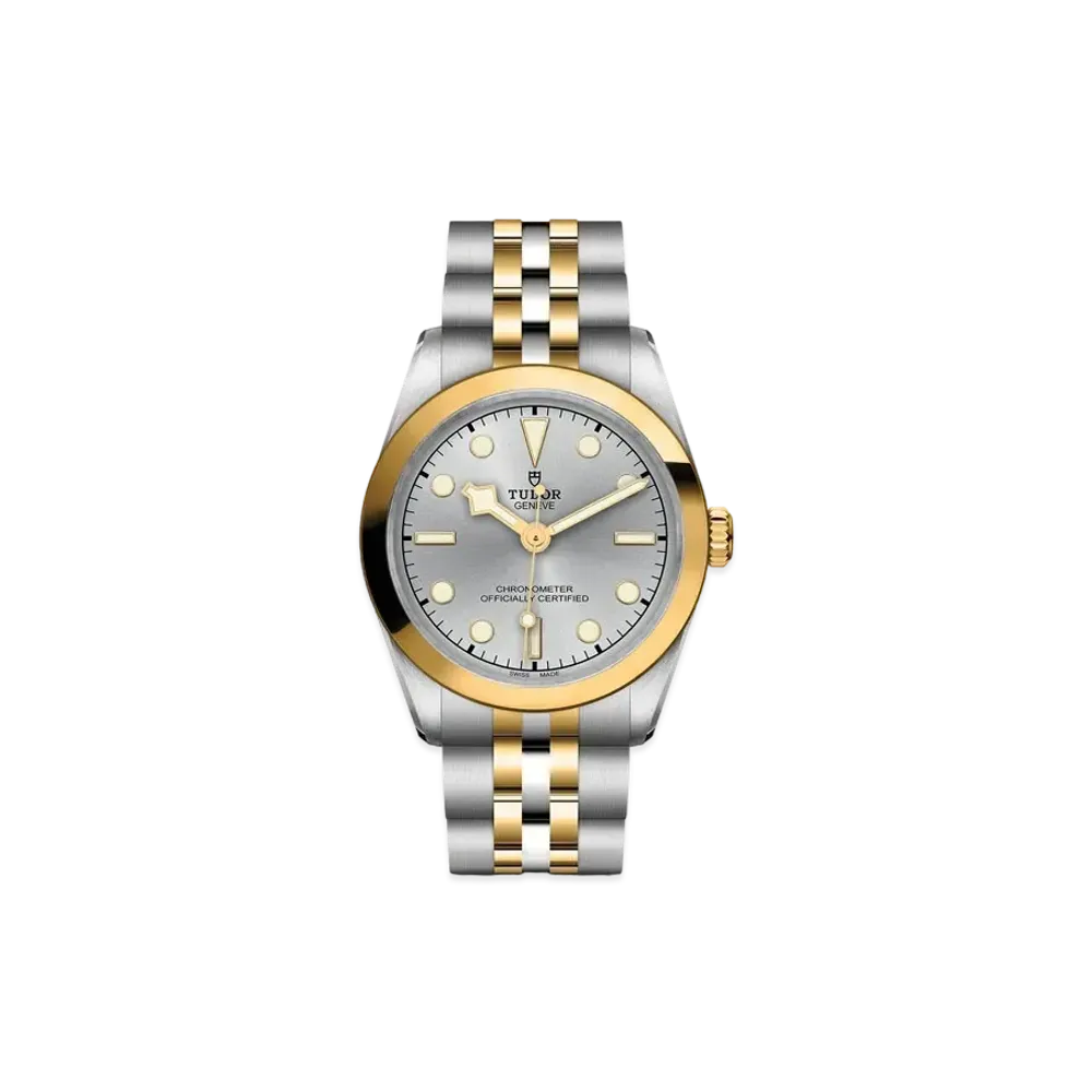 TUDOR BLACK BAY 31 S&G