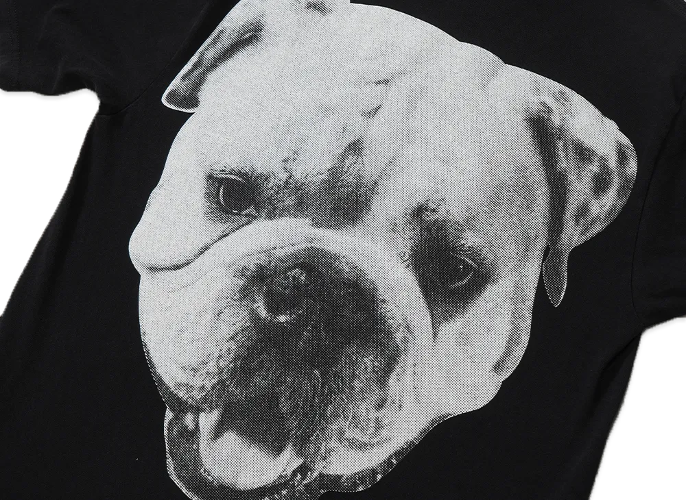 Stussy Big Dog Stone Washed Tee 
