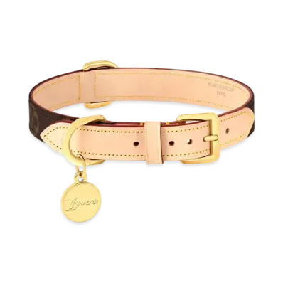 Louis Vuitton Dog Collar MM Monogram