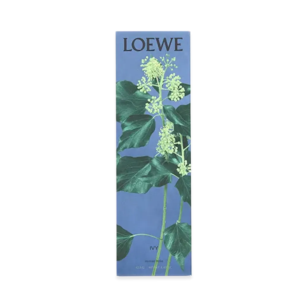 LOEWE Ivy Incense Sticks "Multicoloured"