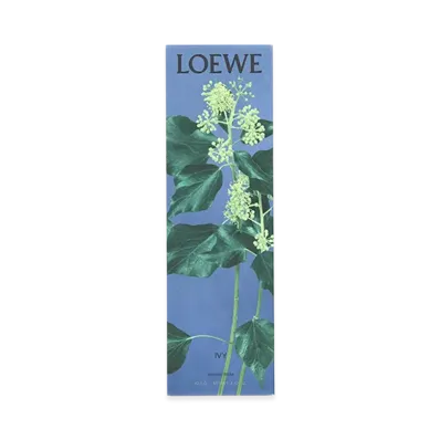 LOEWE Ivy Incense Sticks "Multicoloured"