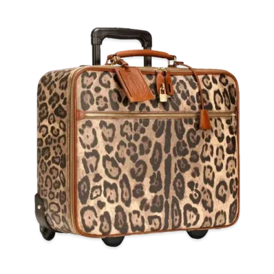 Dolce&Gabbana Carry Bag Small Crespo Leopard Printed Logo Plate "Multicolor"