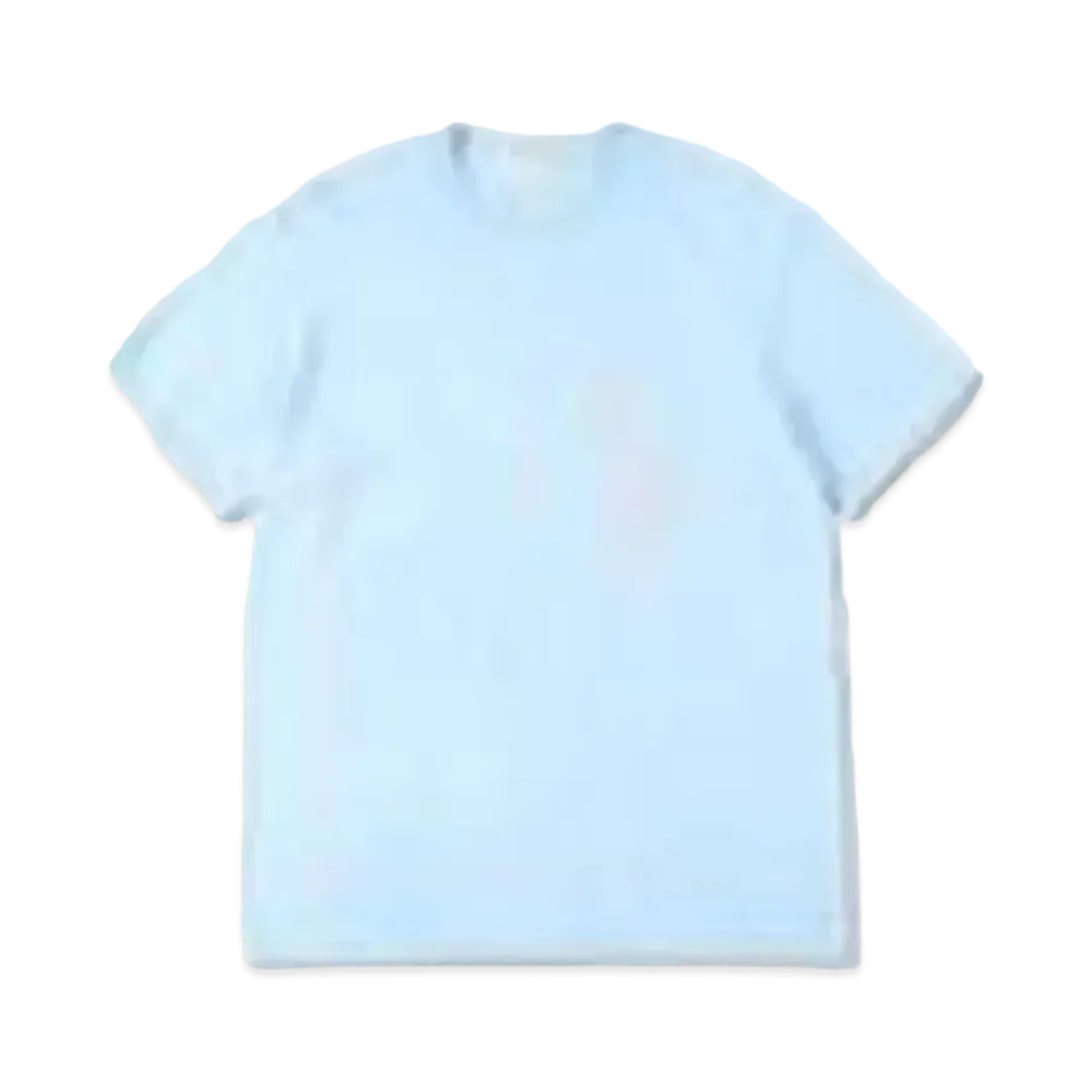 WIND AND SEA T-Shirt "Blue/Gray"