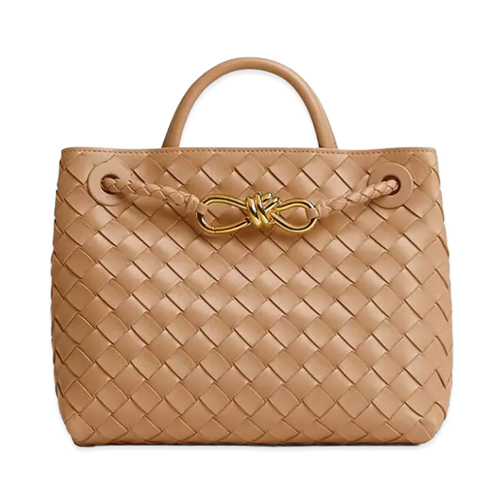 Bottega Veneta Small Andiamo "Pale Brown"
