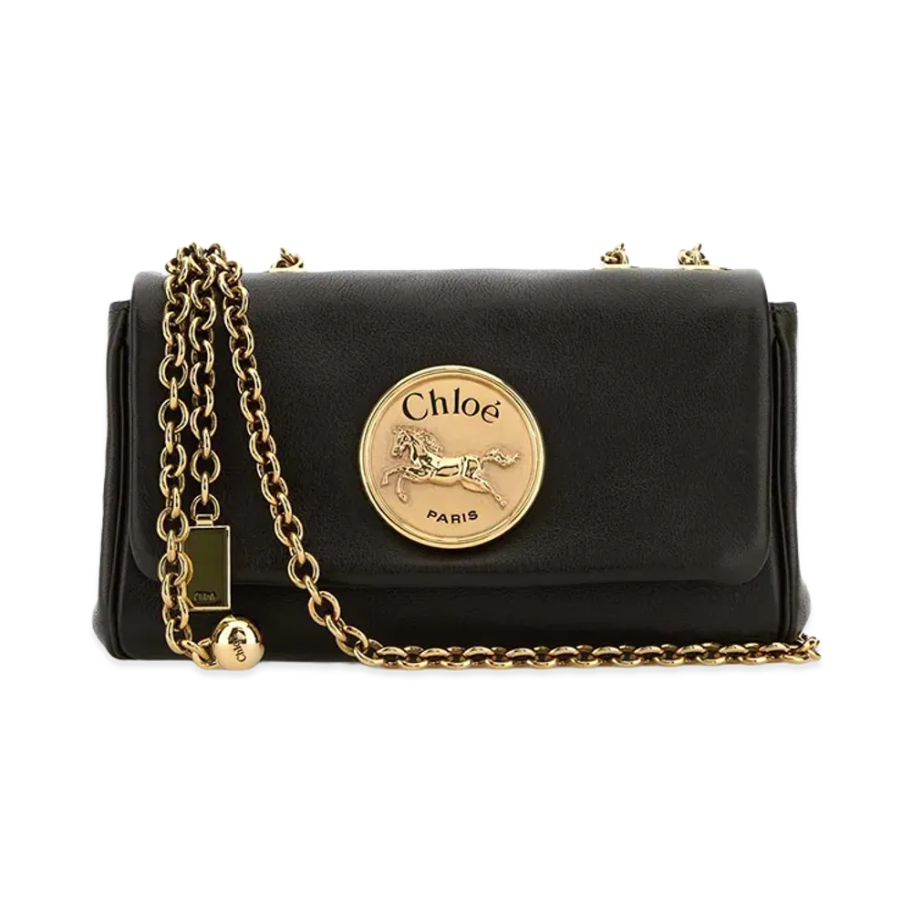 Chloe Women's Leather Heritage Shoulder Bag "Brown"