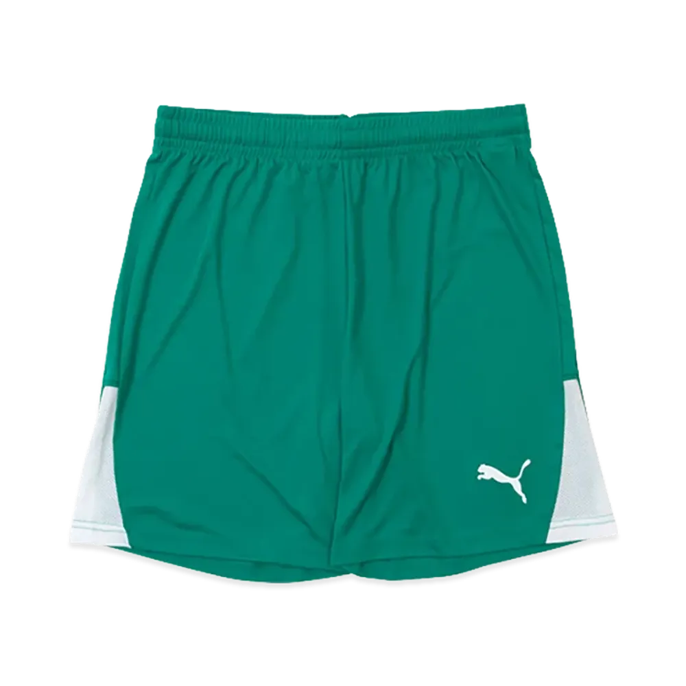 PUMA teamLIGA 26 Shorts "Sports Green"