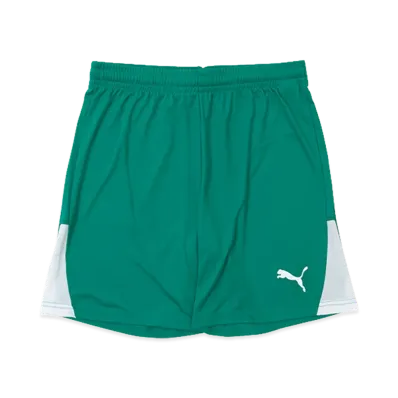 PUMA teamLIGA 26 Shorts "Sports Green"