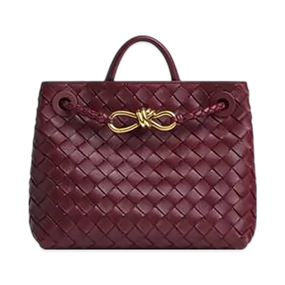 Bottega Veneta Small Andiamo "Barolo"