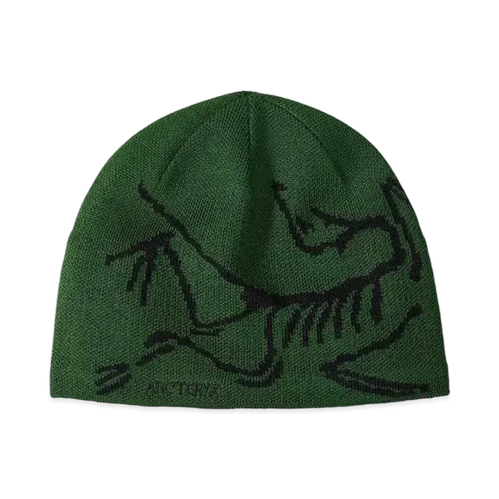 ARC'TERYX Bird Head Toque "Eden/Black"