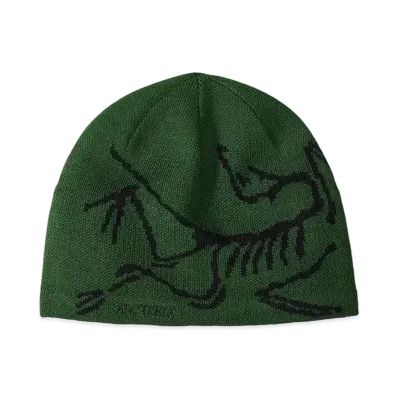 ARC'TERYX Bird Head Toque "Eden/Black"