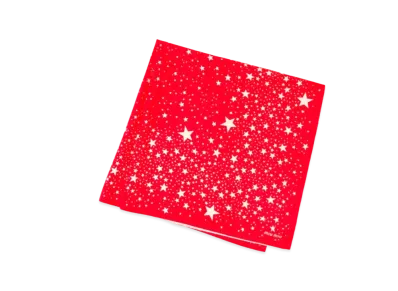 MIU MIU Printed Silk Scarf "Red"
