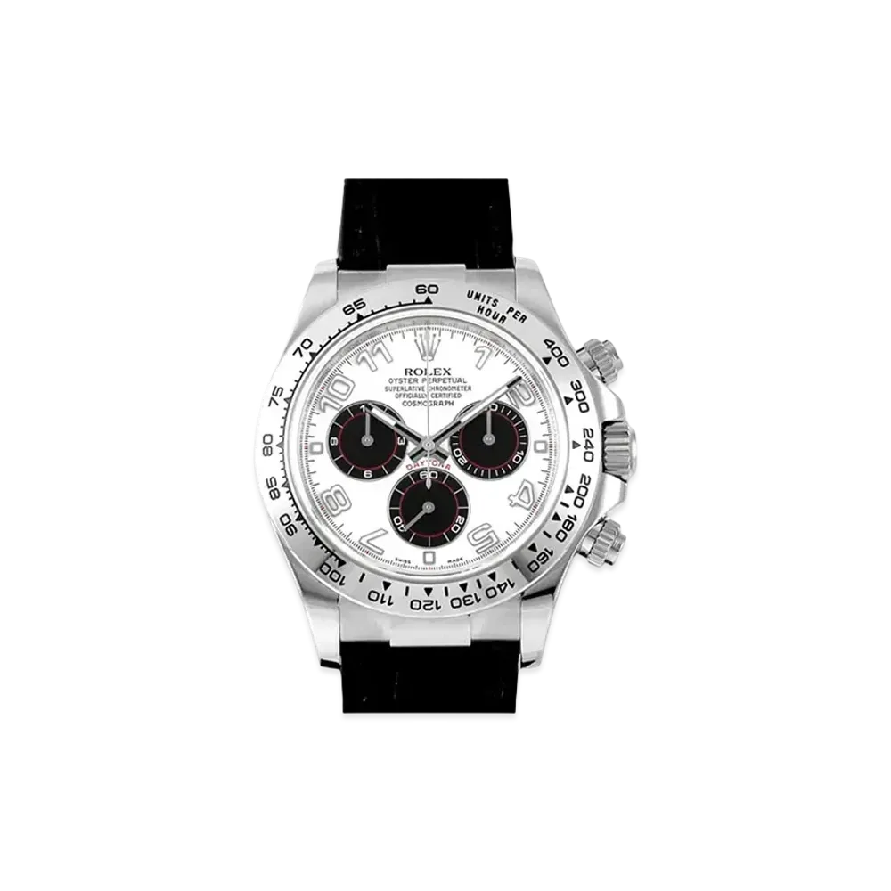 ROLEX Cosmograph Daytona "Panda/White Gold"