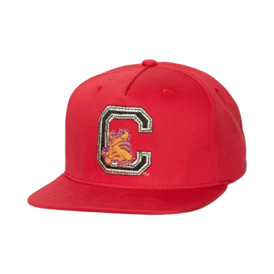 Travis Scott x M&N x Clemson University Hat "Red"