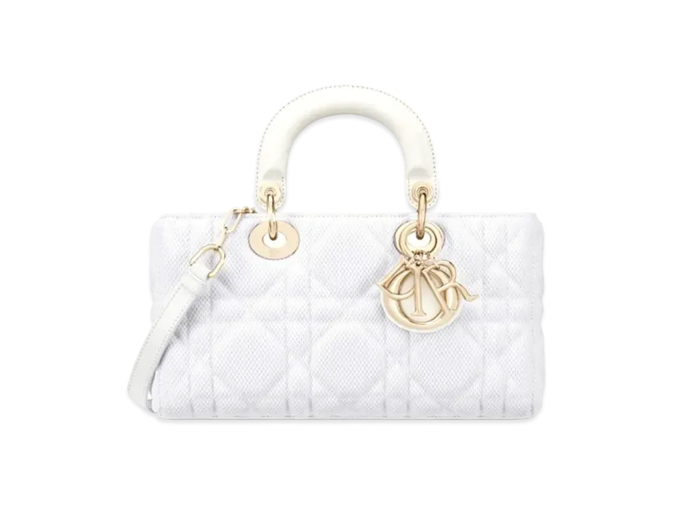 Dior Lady D-Joy Bag Macrocarnage Technical Fabric "White"