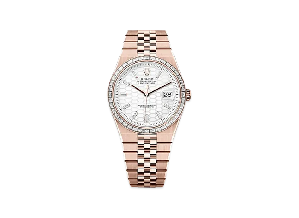ROLEX Land Dweller 40 127385TBR "White"