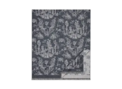 Dior x Cactus Jack Stall "Blue"