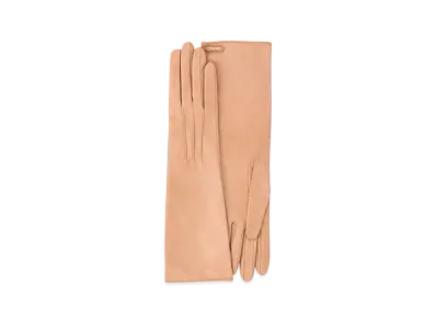 MIU MIU Nappa Leather Globe "Beige Pink"