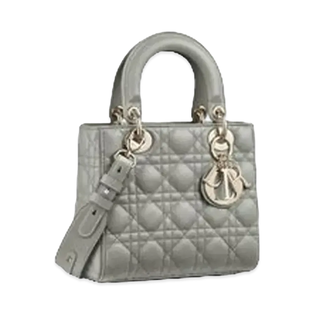 Dior Lady Dior My ABC Dior Bag "Gray"