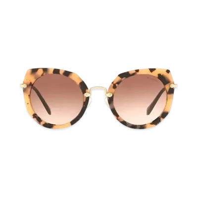 MIU MIU Artist Sunglasses "Mat Dark Brown Gradation Lens"