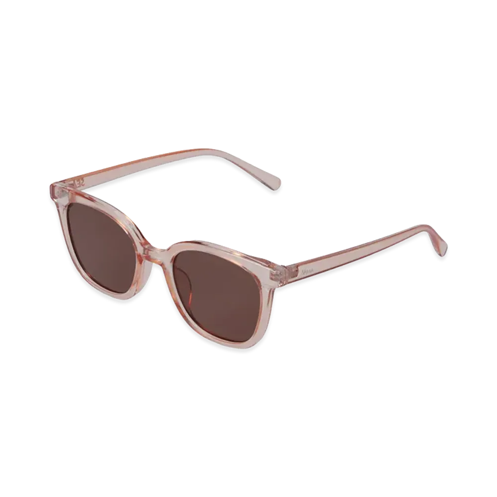 WIND AND SEA x NANGA NW Clear Sunglasses "Pink"