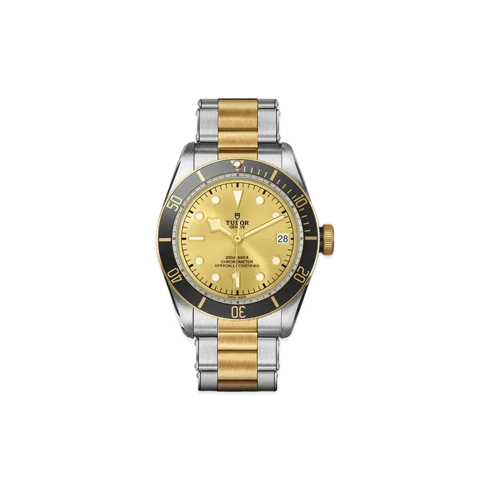 TUDOR BLACK BAY S&G