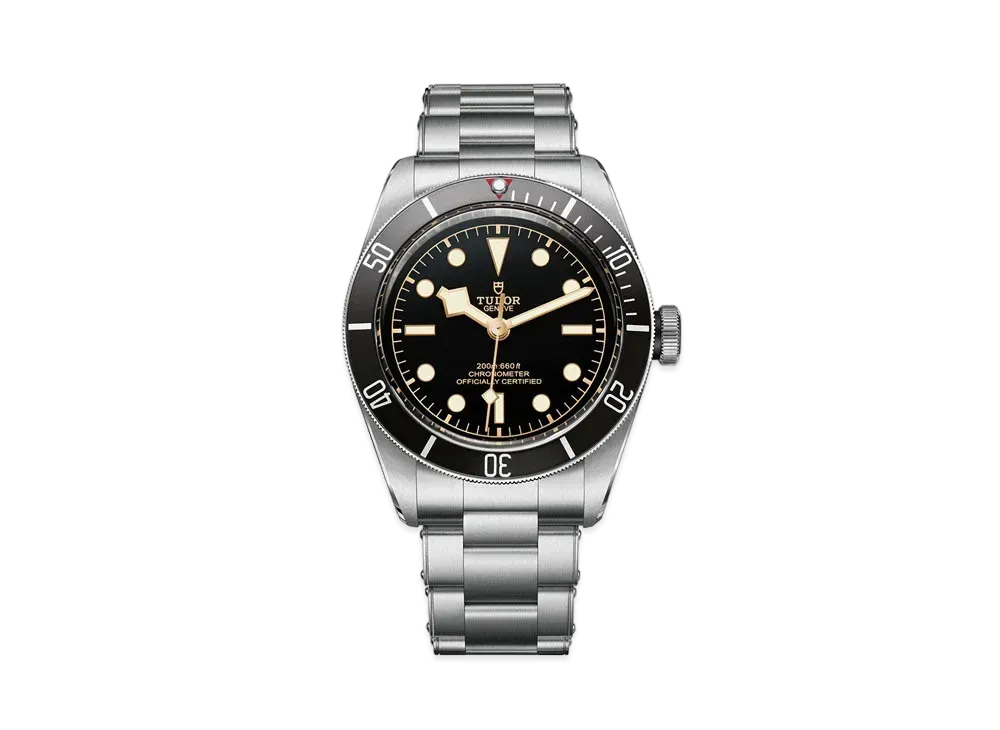 TUDOR BLACK BAY