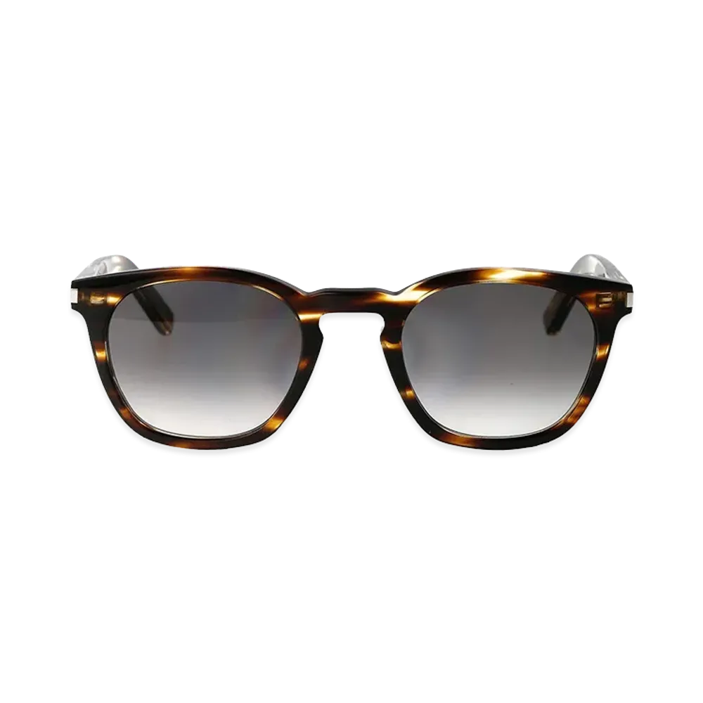 Saint Laurent Sunglasses "Brown"