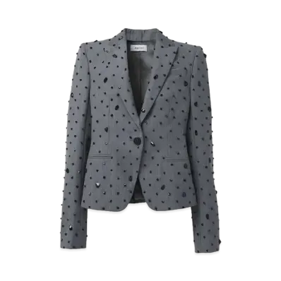 Alexander McQUEEN Cosmic Stone Embroidered Single Breasted Jacket "Gray"