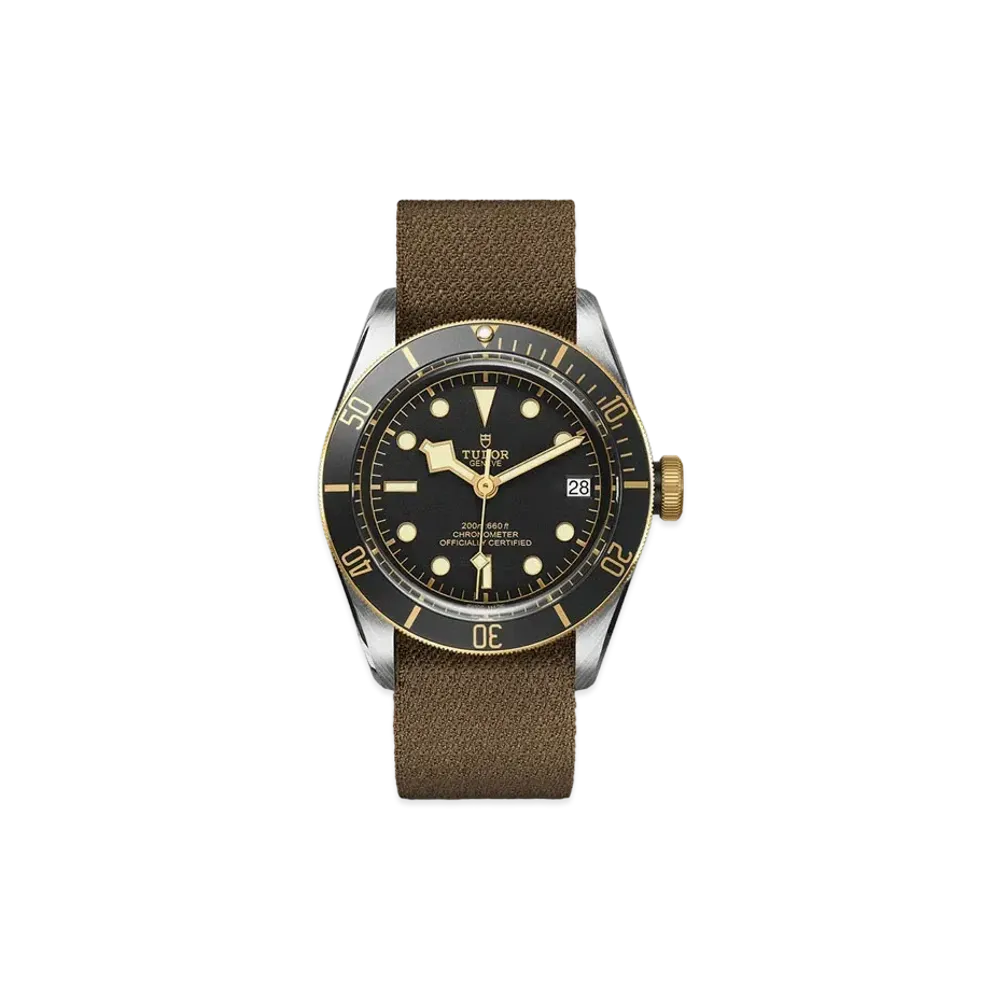 TUDOR BLACK BAY S&G