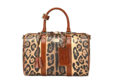 Dolce&Gabbana Handbag Crespo Leopard Print Logo Plate "Multicolor"