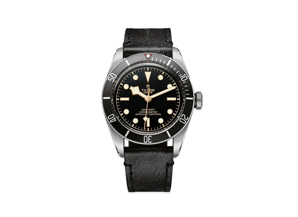 TUDOR BLACK BAY