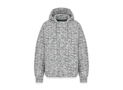 Dior Hooded Parka "Gray"