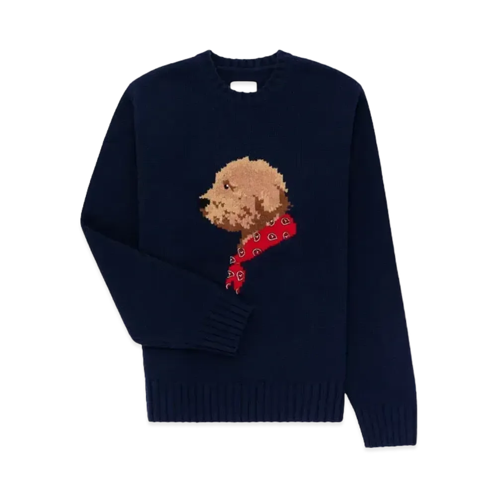 Aime Leon Dore Collegiate Buddy Knit Sweate "Blue"