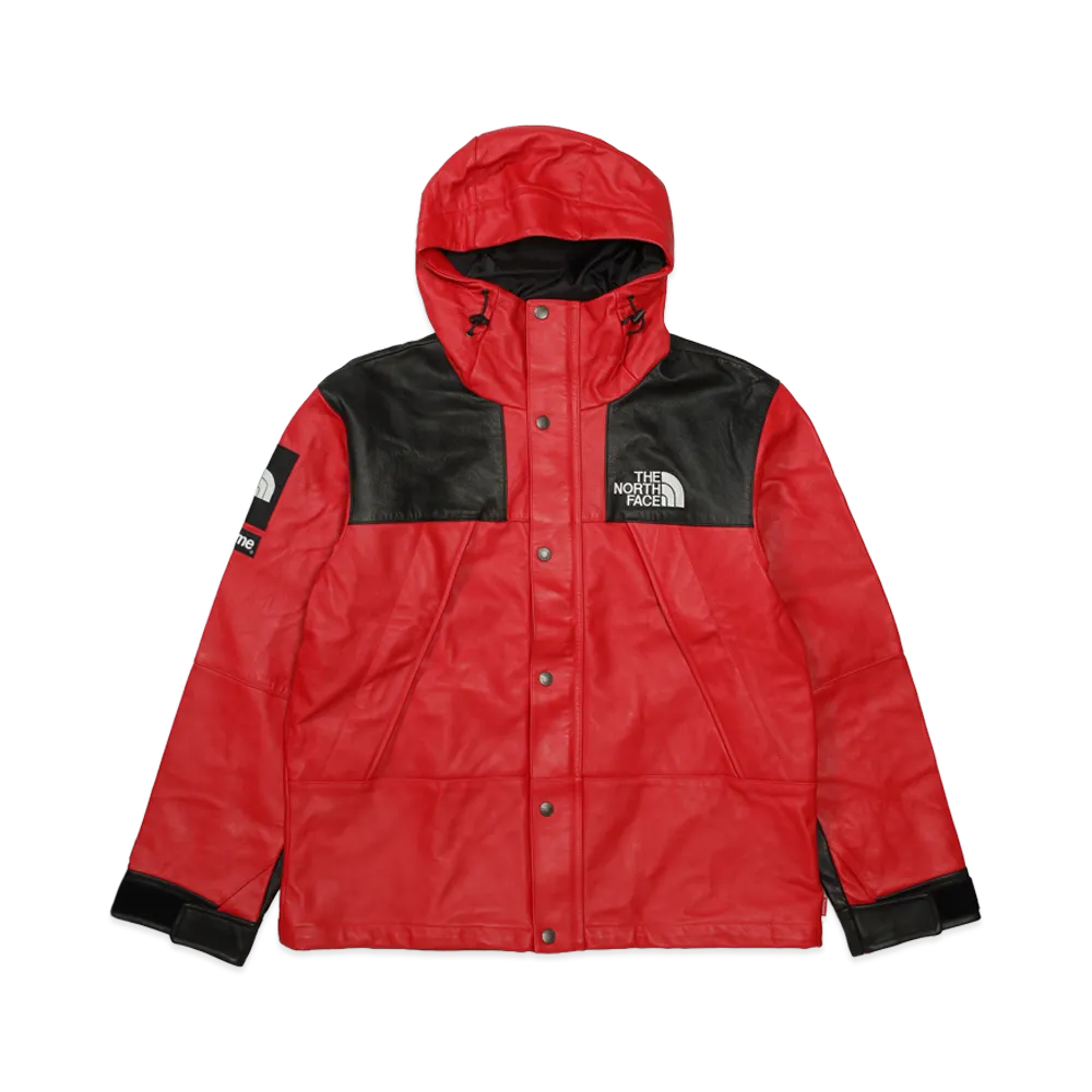 Supreme x The North Face Leather Mountain Parka 